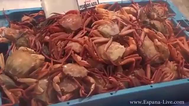 отели испании отзывы туристов