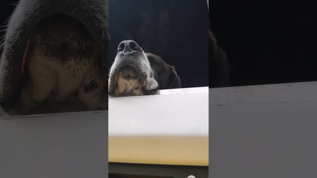 SaveInsta.App - 3410772003662147001.mp4