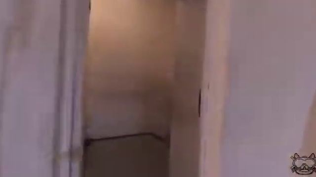 Наш Хогвартс