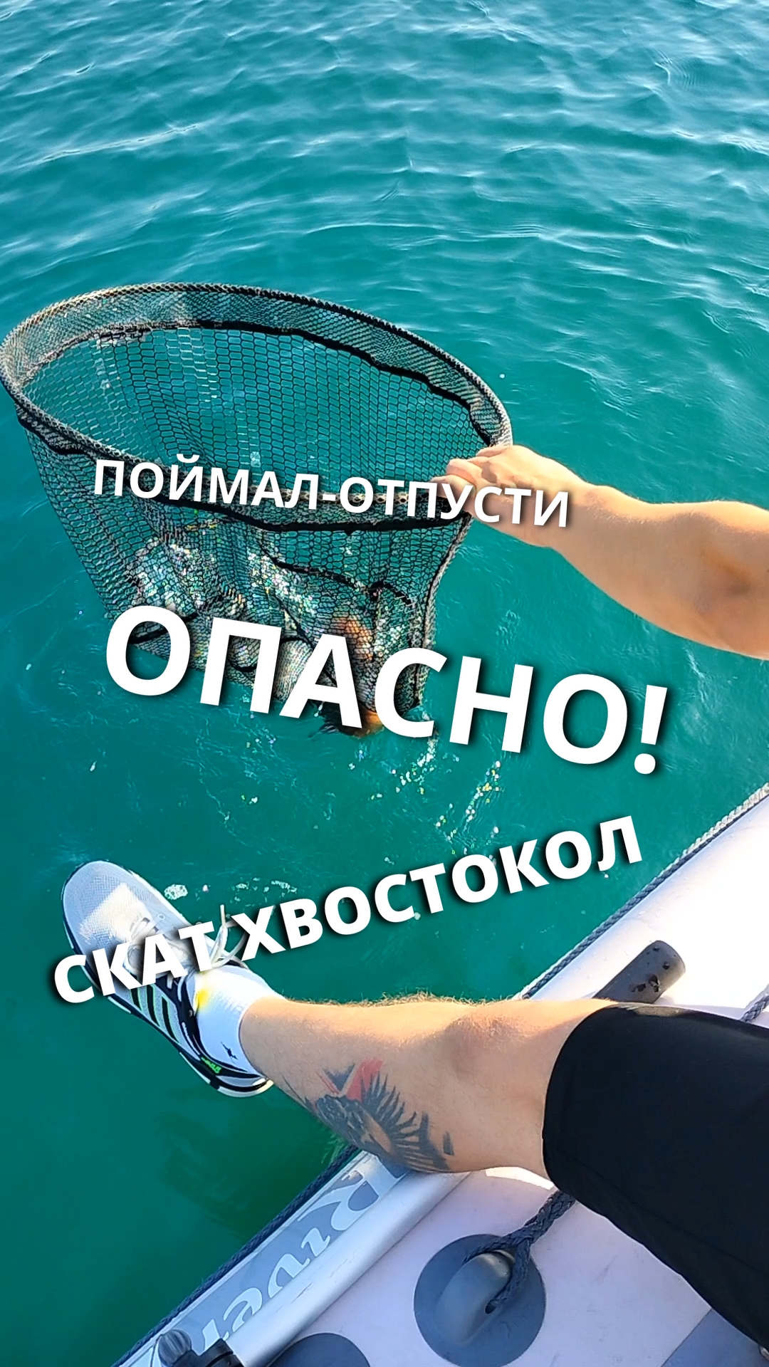 Поймал - отпусти. Опасная рыбалка на Черном море. Скат-хвостокол.