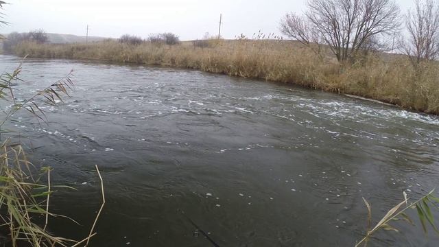 Малая река в ноябре. Рыбалка со спиннингом.