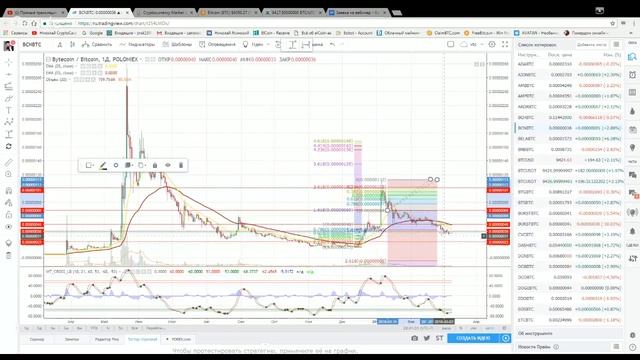 Арсенал боевого хомяка CRYPTOCASE INFO стрим №1