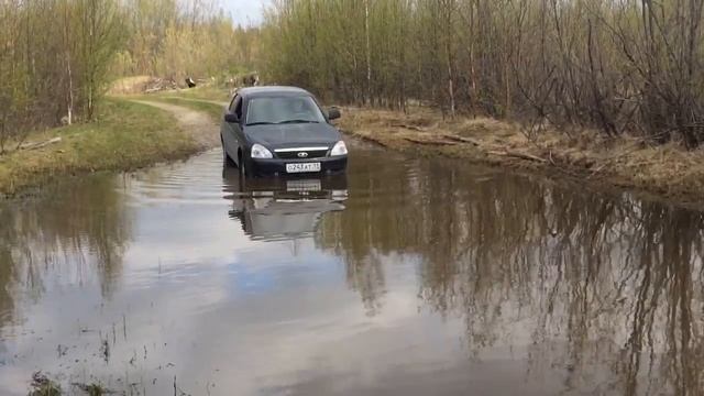 Приора тест