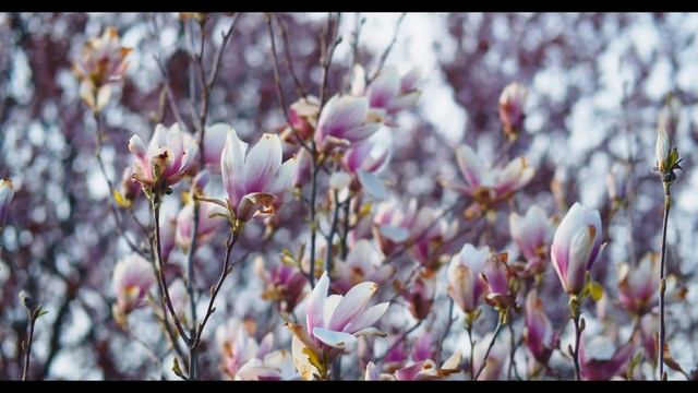 RELAX AND LISTEN- Красивая Расслабляющая Музыка, Музыка Для Сна