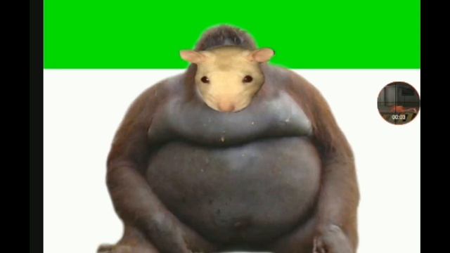 Птица корица мышка мартышка дак кадилак кот рот но наборот