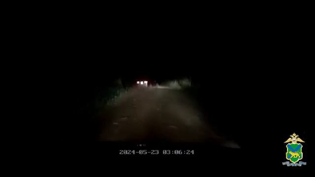 В приморском городе Находке полицейскими в ходе погони со стрельбой задержан нетрезвый водитель