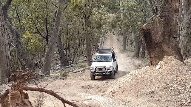 Toyota Prado Giving It A Crack