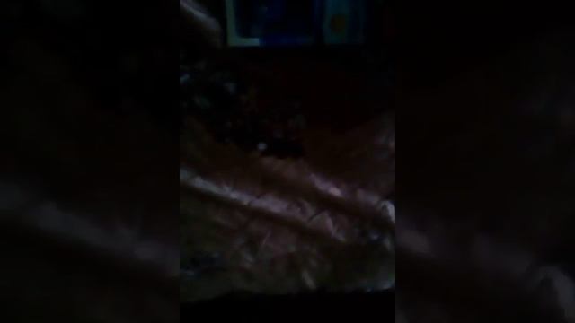 На улице дрянь и кок всегда сижу дома