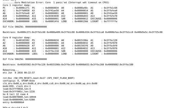 Arduino: Guru Meditation Error: Core 1 paniced Interrupt wdt timeout on CPU1 2 Solutions!!