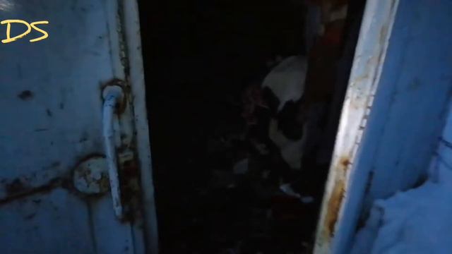 СТАЛК:НАШЛИ ДОМ ОТШЕЛЬНИКА КТО СДЕСЬ МОЖЕТ ЖИТЬ?