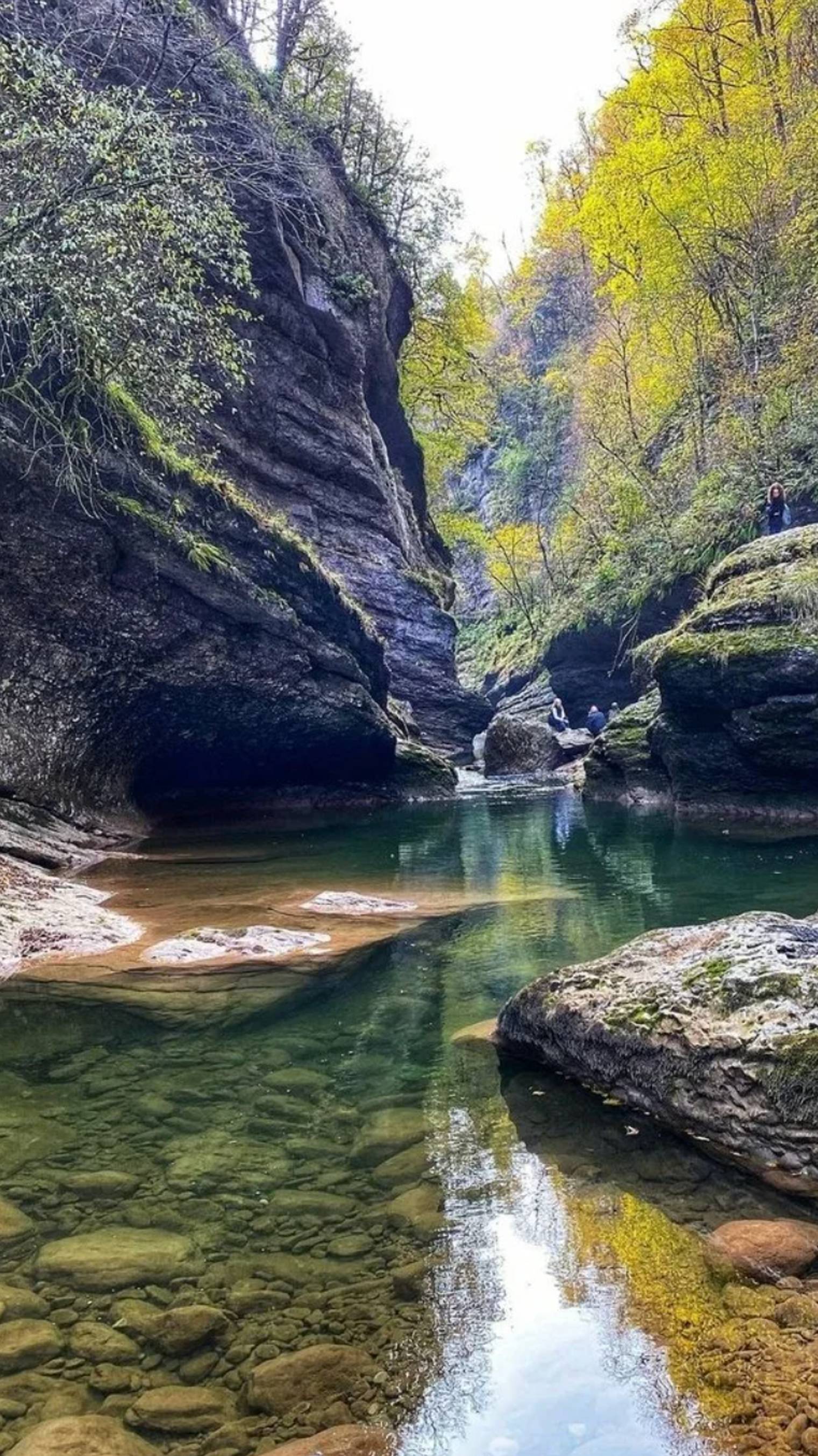 Курджипское ущелье