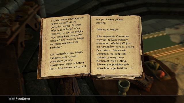 Książki Skyrim 17: Błąd Talosa (The Elder Scrolls)