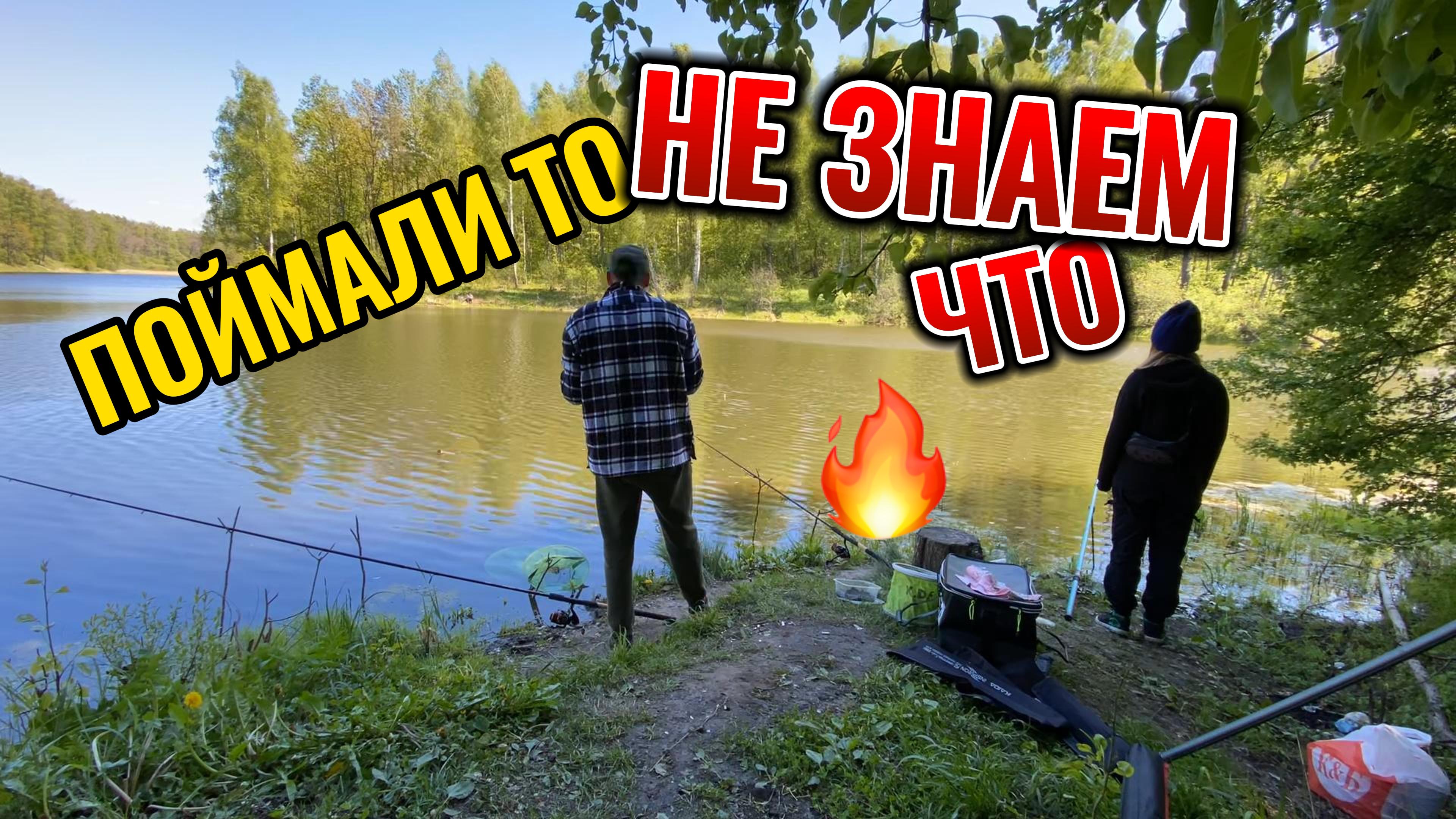 Поймали то, Не знаем что 😱  | 4K | #рыбалка #fishing #напоплавок #рыба #нарыбалке