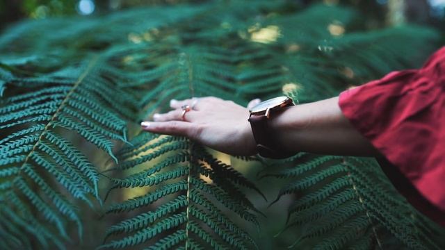Calming music for nerves ? Relaxing Music to Calm the Mind and Positive Energy