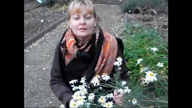 Ополаскиватель волос из ромашки.