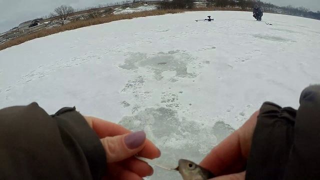 Ловля огромных окуней на маропедку.