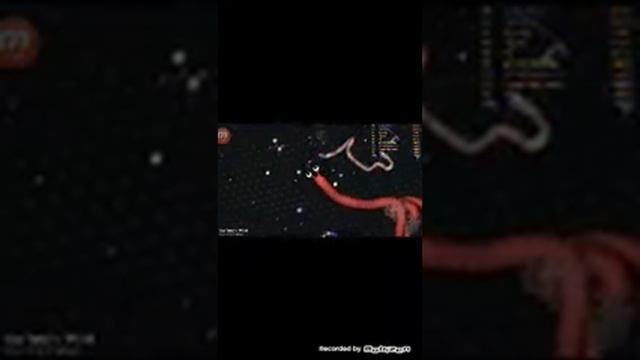 Самый большой рекорд в слизарио