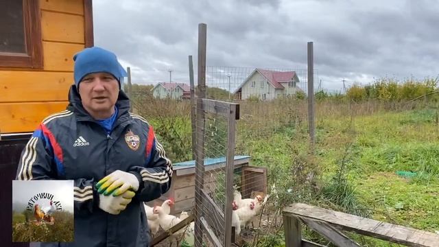 Бройлер может быть полезным мясом Наша позиция на данный вопрос в этом видео! [WxUu7qrwVSo].mp4