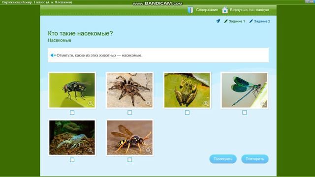Они окружают нас летом! | Окр. мир 1 класс "Кто такие насекомые?"