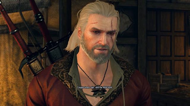 "Her and the Wild Hunt" - Geralt & Zoltan's Song by xLetalis - Witcher 3