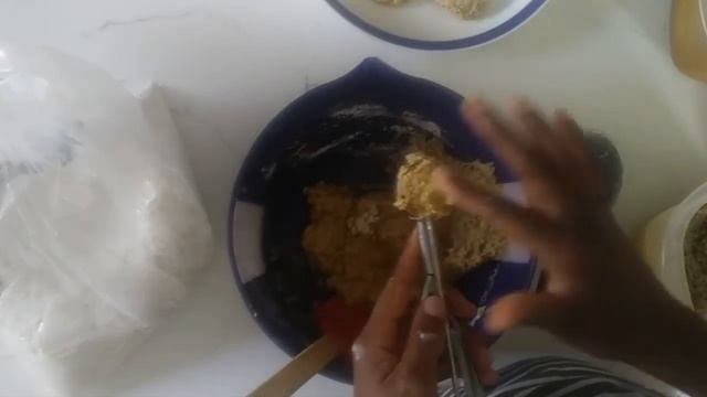 3 Ingredients Vegan Alkaline Nuggets