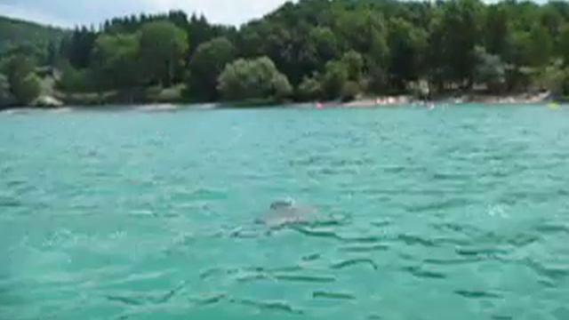 PLONGEON