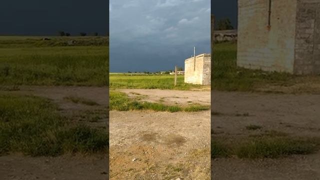Ждём дождь, очень нужен.