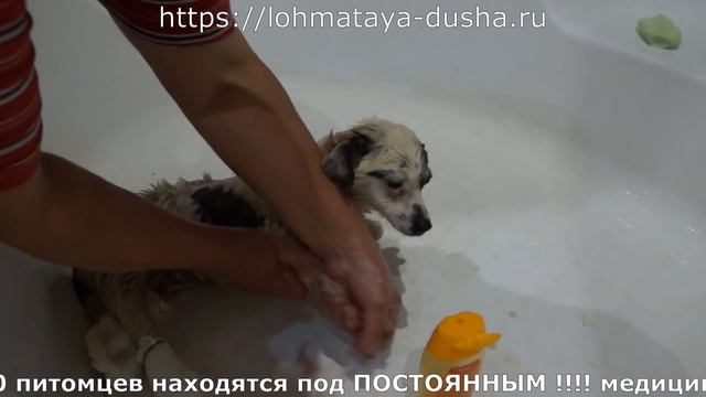 Страх боль отчаянье мольба тоска в её глазах и море нежности и вера в человечность надежда и любов