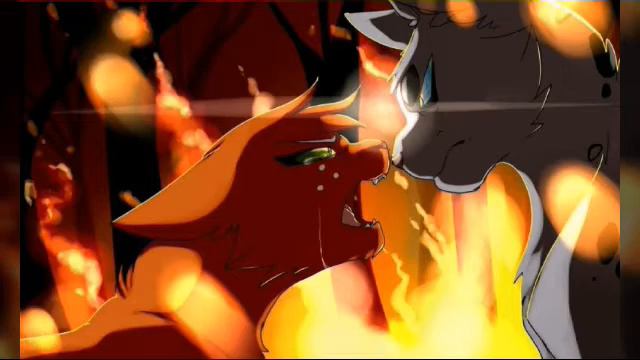 Коты-Воители\ История Белки