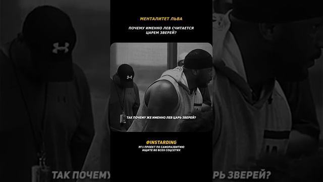 Почему Лев — Царь Зверей? Лучшая Мотивация на Успех!