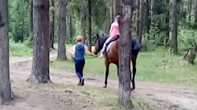 VLOG: День Рождения Лизуна • Стадо лошадей • Хорошенкий котёнок
