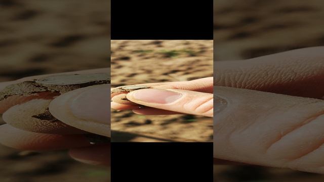 VID_20240428_093655.mp4