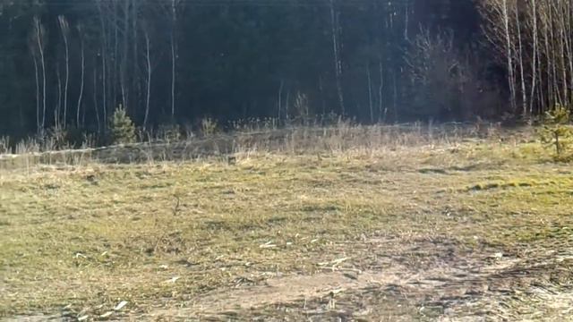 Беларускi ганчак.