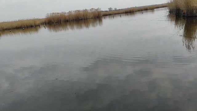 Карась весной радует поклевками! Рыбалка,на Карася,Плотву,Густеру!