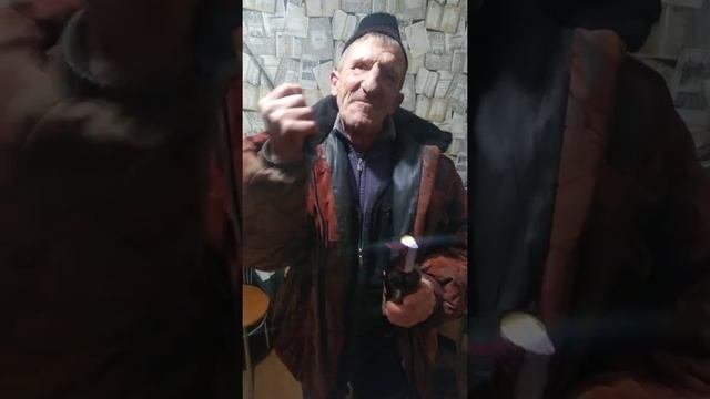 головень едит на шинку