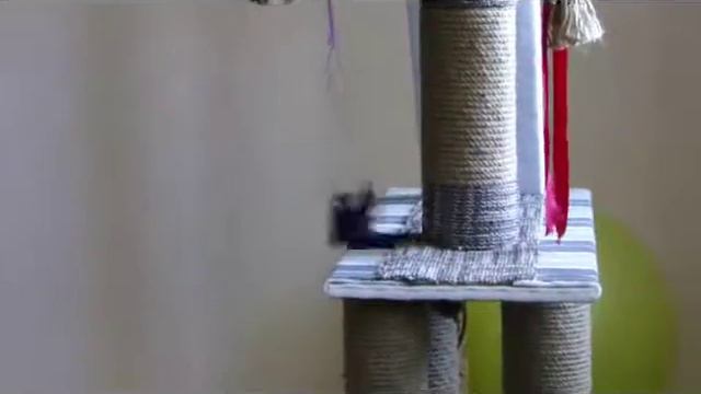 Брюлик играет (5,5 мес.)