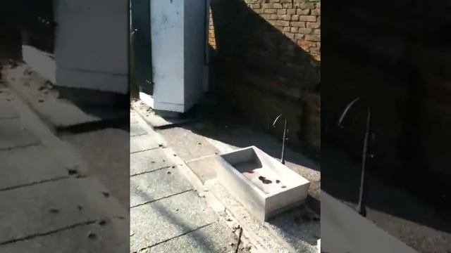 Хозблок в кемпинге Фусина рядом с Венецией