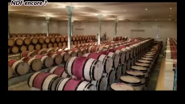 Calimero cmu séjour dans les vignobles bordelais et explications à la fin comment il fait pour payer