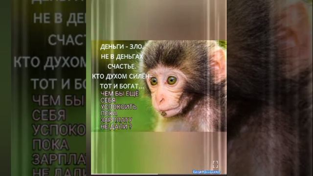 1000083219.mp4А ты сегодня УЛЫБАЛСЯ? 
Юмор для отличного настроения