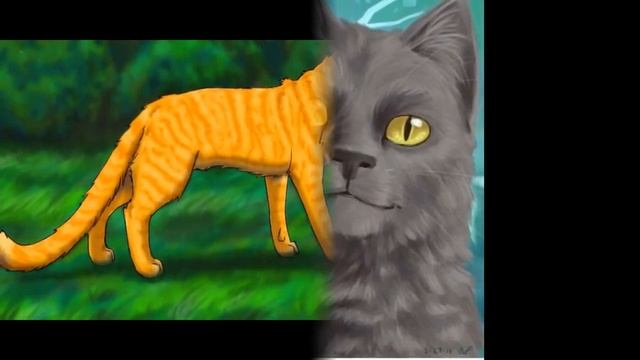 cats warriors~ Крутобок~~