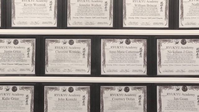 Ryukyu Karate Video