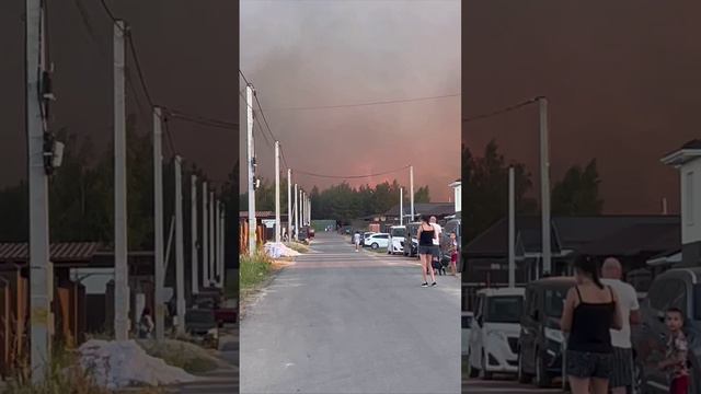 Жители Воронежа помогают пожарным в борьбе с масштабным лесным пожаром в Ямном Рамоского района.