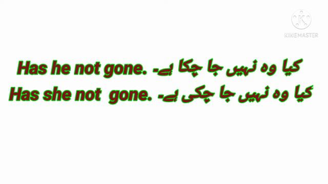 #Present Perfect Tense/ Yes No Negative Question