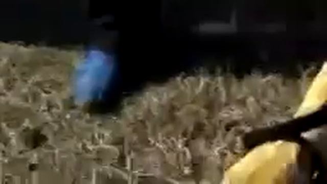 В Забайкальском крае поймали огромную змею