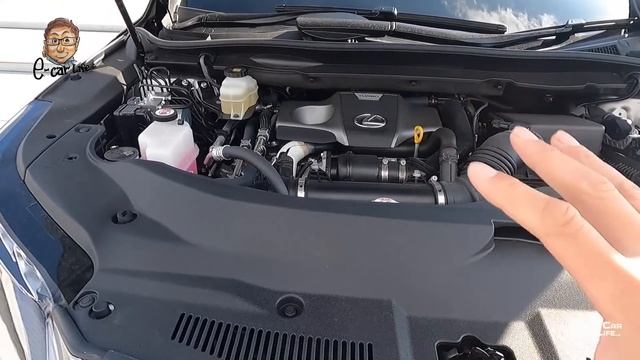 レクサス RX 【車両レビュー】もっとも走り志向のRX300 Fスポーツ!! スタイリッシュさナンバーワン!! LEXUS RX300 E-CarLife with 五味やすたか