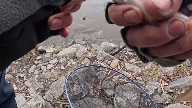 ВІДКРИТТЯ ФІДЕРНОГО СЕЗОНУ НА ДЕСНІ ❗️🎣РИБАЛКА В ЛЮТОМУ !