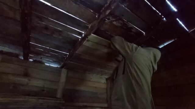 Она не даёт мне УСНУТЬ! Ночь в таёжном ДОМЕ. Ремонт бани. Life In A Forest House