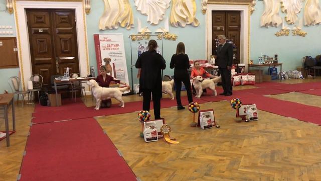 Вита на выставке 28 января 2018