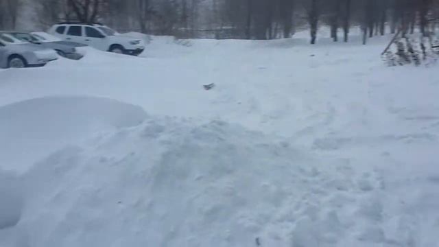 Засыпало снегом Жигулевск 3/3