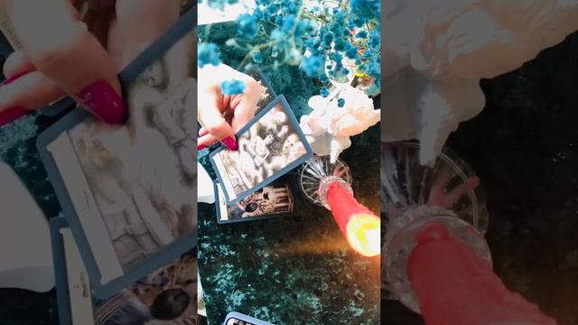Ваши магические способности 🔮
